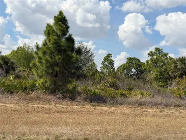 LEHIGH ACRES FL Property
