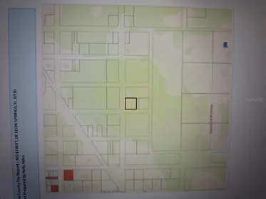 DE LEON SPRINGS FL Property