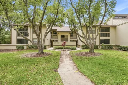 OLDSMAR FL Home