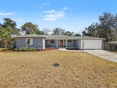 MOUNT DORA FL Home