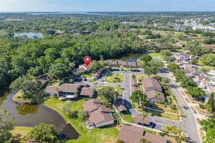 OLDSMAR FL Home
