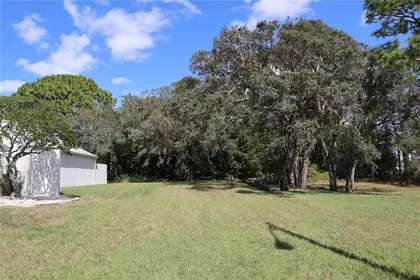 SPRING HILL FL Property