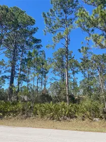 PALM COAST FL Property
