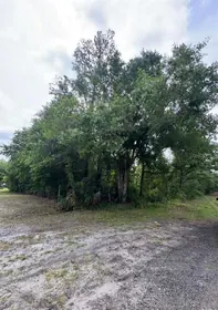 CHRISTMAS FL Property