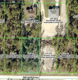 WEEKI WACHEE FL Property