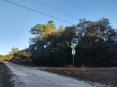 DUNNELLON FL Property