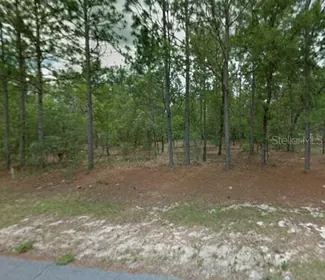 CITRUS SPRINGS FL Property