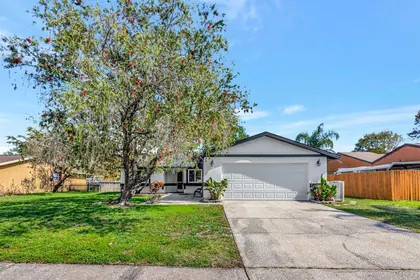 OLDSMAR FL Home
