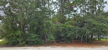 BROOKSVILLE FL Property