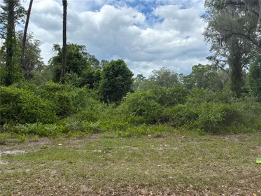 OCKLAWAHA FL Property