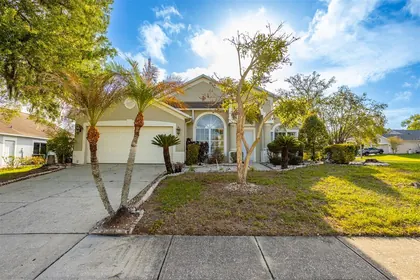 VALRICO FL Home