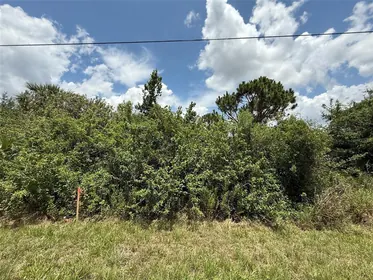 NORTH PORT FL Property