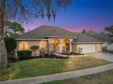 MOUNT DORA FL Home