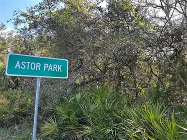 ASTOR FL Property