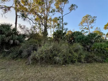 NORTH PORT FL Property