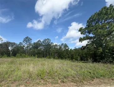 OCALA FL Property