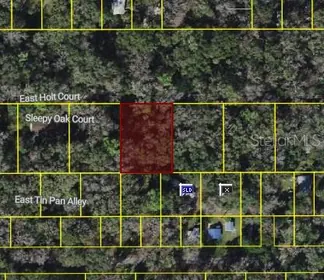 INVERNESS FL Property