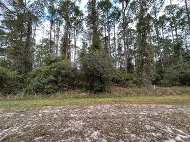 GEORGETOWN FL Property