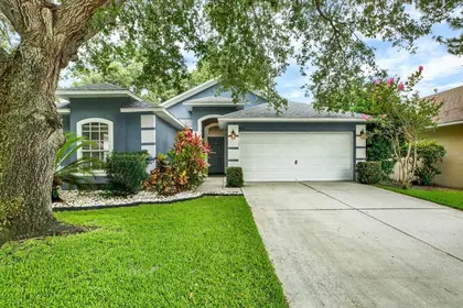 BRANDON FL Home