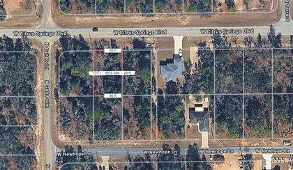 CITRUS SPRINGS FL Property