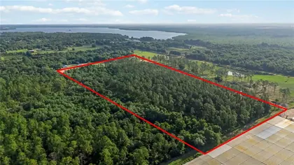 HOWEY IN THE HILLS FL Property