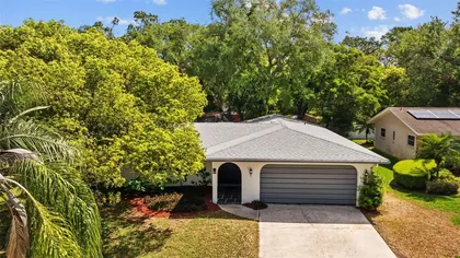CLEARWATER FL Home