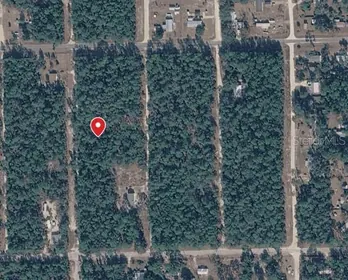 SATSUMA FL Property