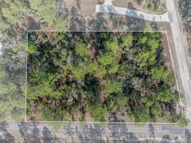 CITRUS SPRINGS FL Property