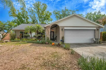 TAMPA FL Home