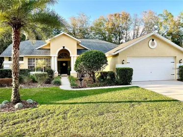 VALRICO FL Home