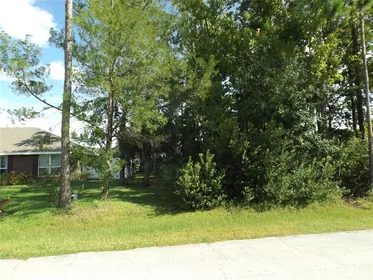 PALM COAST FL Property