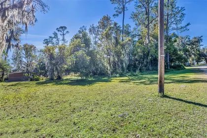 OSTEEN FL Property
