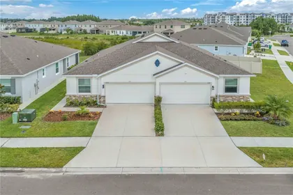 WESLEY CHAPEL FL Home