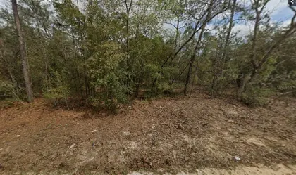 INTERLACHEN FL Property