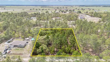 DUNNELLON FL Property