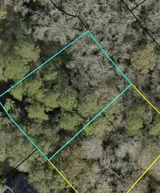 PALM COAST FL Property