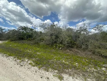LAKE PLACID FL Property