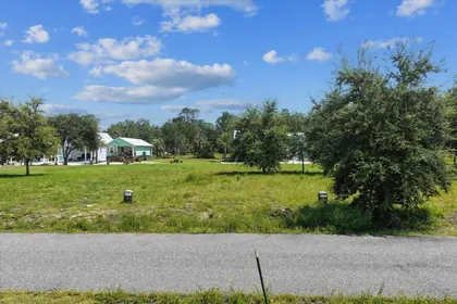 STEINHATCHEE FL Property