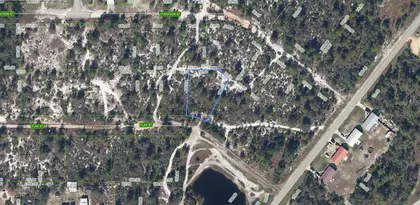 LAKE PLACID FL Property