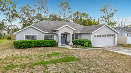 SPRING HILL FL Home