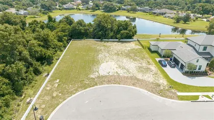 WINDERMERE FL Property