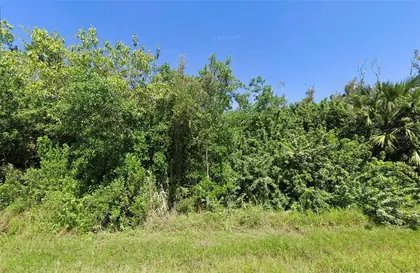 PORT CHARLOTTE FL Property
