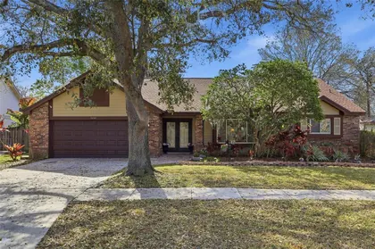 PALM HARBOR FL Home