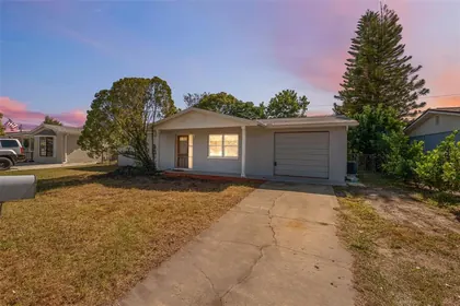 HOLIDAY FL Home
