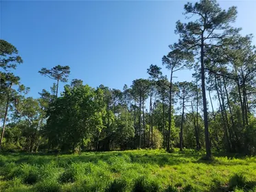 WINTER HAVEN FL Property