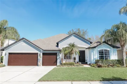 WESLEY CHAPEL FL Home