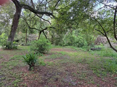 ZEPHYRHILLS FL Property