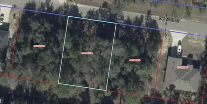 WILLISTON FL Property