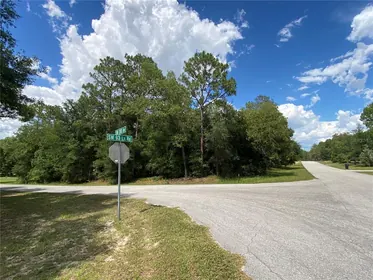 DUNNELLON FL Property