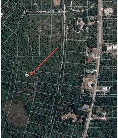 LAKE PLACID FL Property